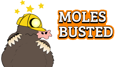 Bonked mole with text 