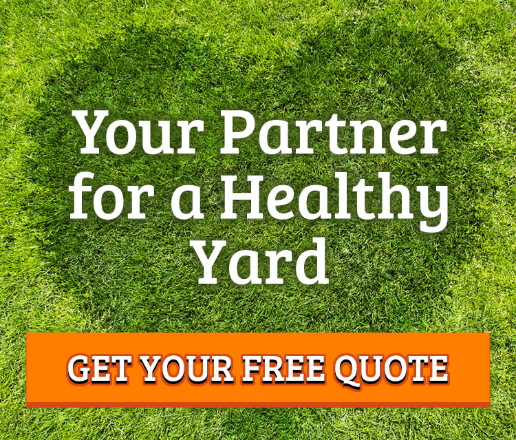 Happy Green Grass saying Tuff Turf Molebusters is Your Partner for a Healthy Yard
